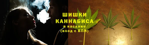 шишки Богданович