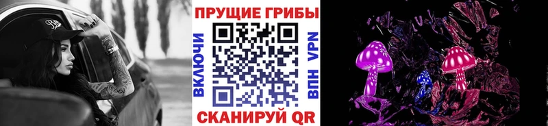 закладки  Тула  Галлюциногенные грибы мицелий 